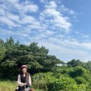 제주다시 이미지