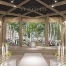 파티오-25 이미지