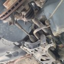 제리모터스 이미지