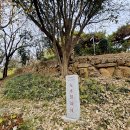 수군 절도사 신광익 선정비 | 과거의 숨결을 오늘에 이어가는 수영사적공원