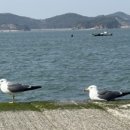 식물원 옆 동물원 이미지