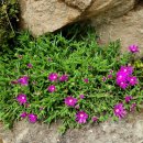 김천화장장 이미지