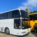 일일 | 후쿠오카 유후인 벳부 버스투어 일일 투어 후기