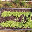 우량농장 이미지