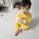 하얀어린이집 | 수원 용인 돌떡 어린이집 답례떡 한섬공방 푸곰돌이 백설기