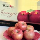 대가야농약할인마트 | 설선물세트 고민 끝! 당도 보장 프레샤인 부사 사과세트