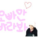 본드라이 이미지