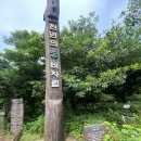천년의 숲 화장실 | [제주도 숲 추천] 천년의 숲 &#39;비자림&#39; 후기 및 입장 정보