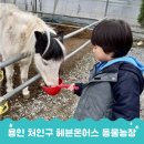 진원농장 | 용인아이와가볼만한곳 처인구 위치 실내 용인동물농장 헤븐온어스 표고버섯 체험 추천