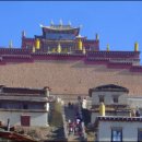 샹그리라 이미지