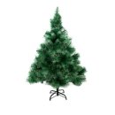 파인트리 이미지