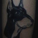 강남에스라인 이미지