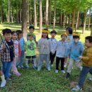 영덕야성초등학교병설유치원 | 영덕교육지원청 자연과 함께하는 숲 놀이 현장체험
