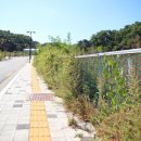 수우농장 이미지