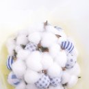목화 캔디