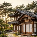 신달하우스 | 경주 불국사 주변 한옥 게스트하우스 예약, 전통의 멋이 살아있는 특별한 하룻밤!