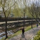 순천-77호 이미지