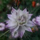 부건농장 이미지