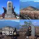 [정선 민둥산 억새축제] 왕초보도 완등한 등산코스/주차/쉼터/정상/돌리네/벌레