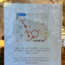 연의양과 이미지