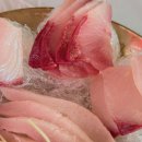 상무바다 이미지