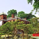 소나무동산 이미지