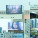14일의 설레임 이미지
