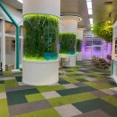 (주)아이들팜 이미지