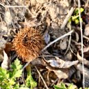 기산농장 이미지