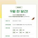 해피한 안경 이미지