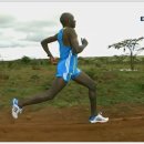 마라톤 세계신기록 보유자의 달리기 자세 이미지