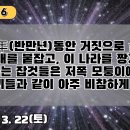 6.半萬年동안 거짓으로 살아온 중국 짱개를 붙잡고, 이 나라를 짱개판으로 만들려는 잡 것들은 저쪽 모퉁이에 있는 개새끼들과 같이 아주 이미지