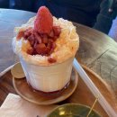 보고싶다원두 이미지