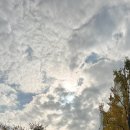 원플러스원 농장 이미지