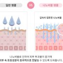 앤투비 이미지