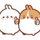 란헤어(RAN)