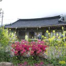 선운사의추억 이미지