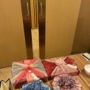 453 | [Wedding-8] 상견례 준비 (양가 선물 추천, 상견례 대화 소재 공유)
