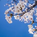 별내면행정타운 이미지