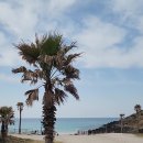 영통 ㅡ김포공항 ㅡ제주공항 ㅡ김녕해변 이미지