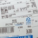 낚고락고 | 낚고락고 후기;;))제주동부 아이와가볼만한곳..&#39;.&#39;.