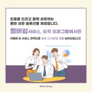 오퍼그룹 네이버블로그