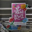 용가리PC방 | 2월 남은 일상 모음 : 다이소 봄 상품, 송도 김치나베, 솥밥, 할리스커피 케이크