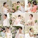 6. 교수회관 본식 DVD 업체 비교 (블랑논/필름팔레트/가로수필름/코지레코드)
