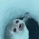 콧구멍PC방 이미지