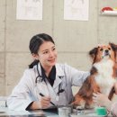 고동물병원 이미지