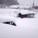 Snow County 이미지