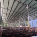 한우축사 이미지