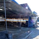 임순석 농장 이미지