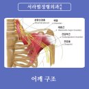 경주정형외과의원 이미지
